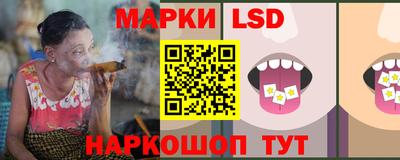 jwh Камышлов