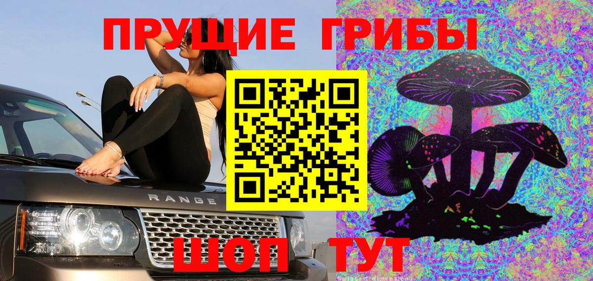 Галлюциногенные грибы Psilocybine cubensis Вятские Поляны