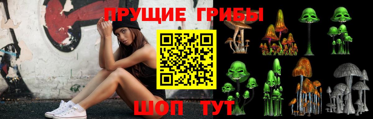 Галлюциногенные грибы ЛСД  Вход с VPN  Вятские Поляны 