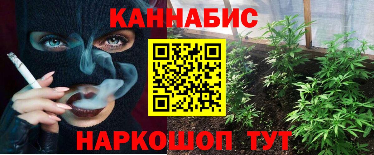 Вятские Поляны  МАРИХУАНА сатива  Вход с VPN  Марихуана THC 21%  Конопля Ganja 